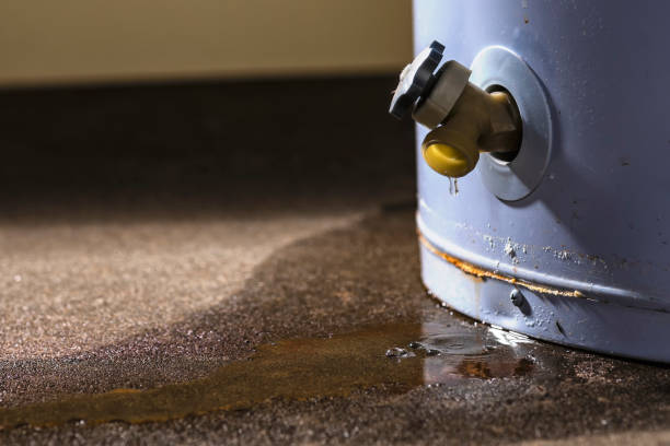 Best Ceiling water damage repair  in , IL
