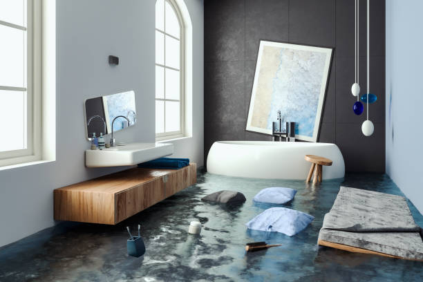 Best Water damage contractors near me  in , IL