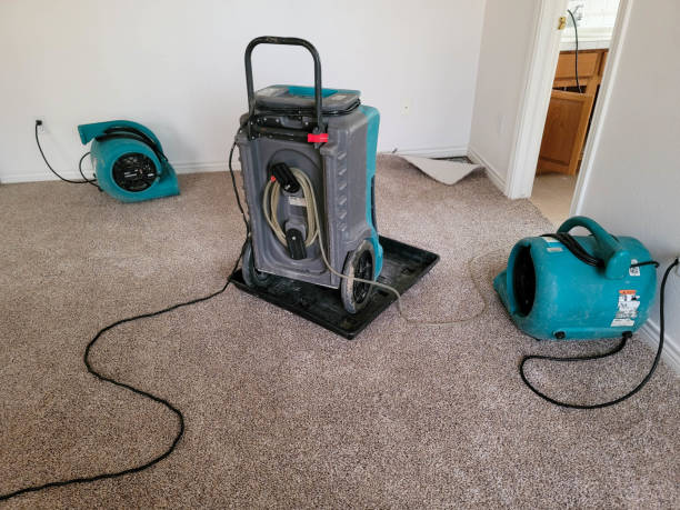 Best Professional water damage repair  in , IL