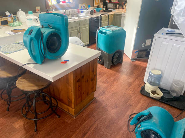 Best 24-hour water damage restoration  in , IL