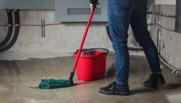 Best Mold removal after water damage  in , IL