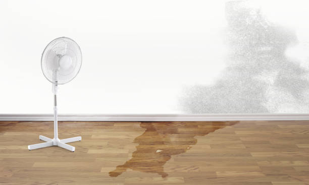 Best Water damage restoration near me  in , IL