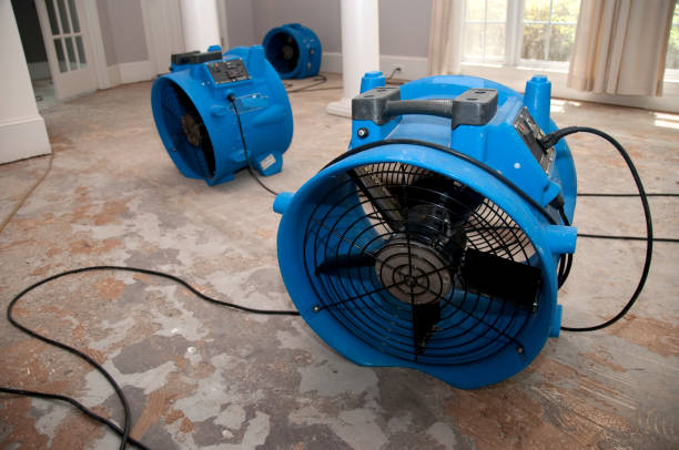 Best Flood restoration services  in , IL