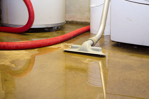 Best Residential water damage restoration  in , IL