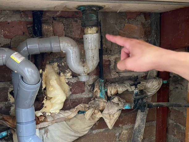 Best Sewage cleanup and water damage restoration  in , IL