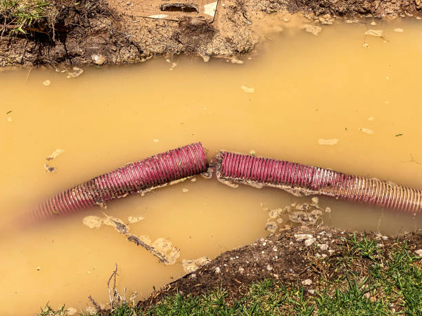 Best Water damage cleanup near me  in , IL